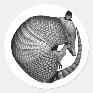 Armadillo Classic Round Sticker