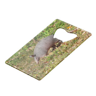 Armadillo Credit Card Bottle Opener