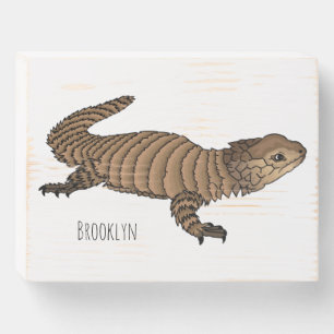 Armadillo girdled cartoon illustration wooden box sign