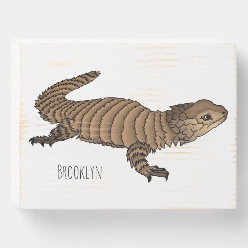 Armadillo girdled cartoon illustration wooden box sign