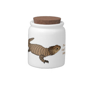 Armadillo girdled lizard cartoon illustration candy jar