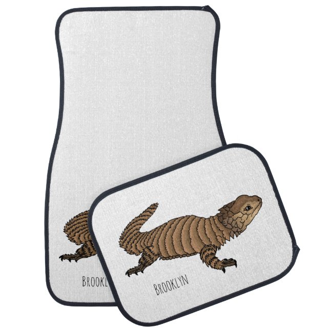 Armadillo girdled lizard cartoon illustration car floor mat (Set)