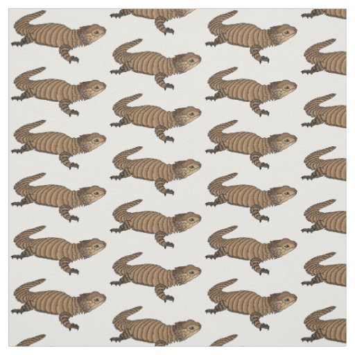 Armadillo girdled lizard cartoon illustration  fabric