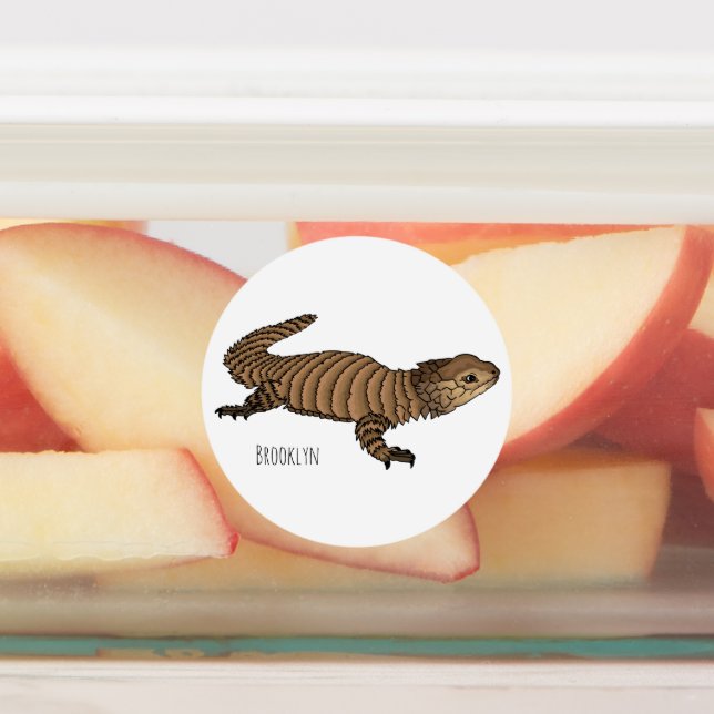 Armadillo girdled lizard cartoon illustration  labels (Affixed)
