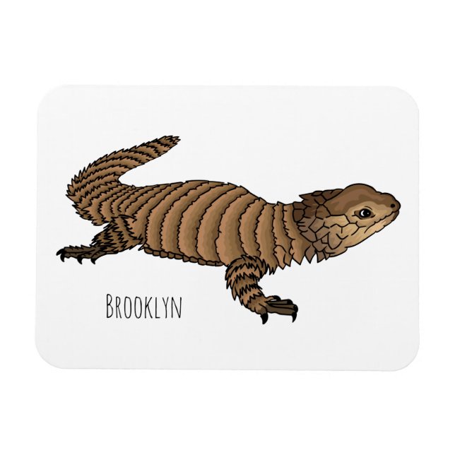 Armadillo girdled lizard cartoon illustration  magnet (Horizontal)