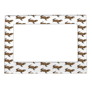 Armadillo girdled lizard cartoon illustration  magnetic frame