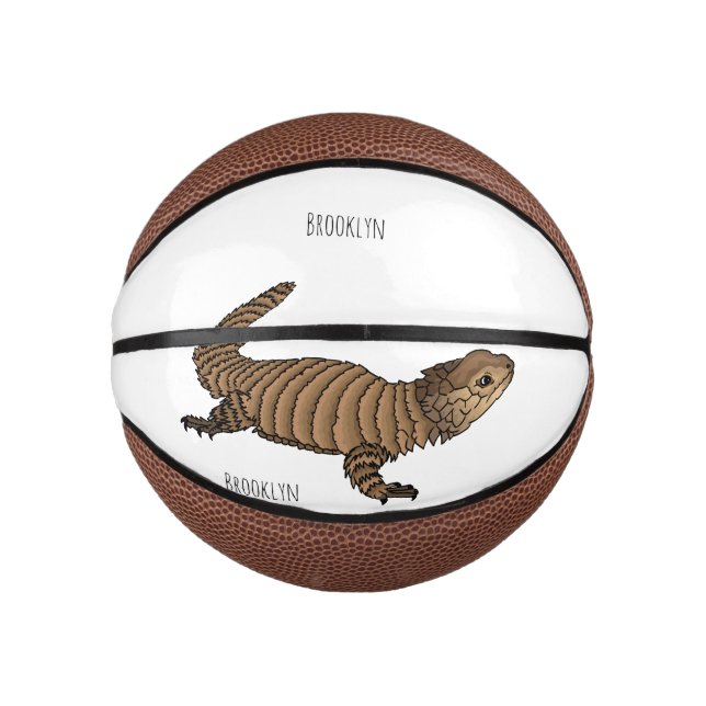 Armadillo girdled lizard cartoon illustration  mini basketball (Front)