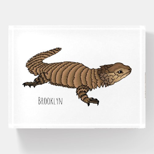 Armadillo girdled lizard cartoon illustration  paperweight