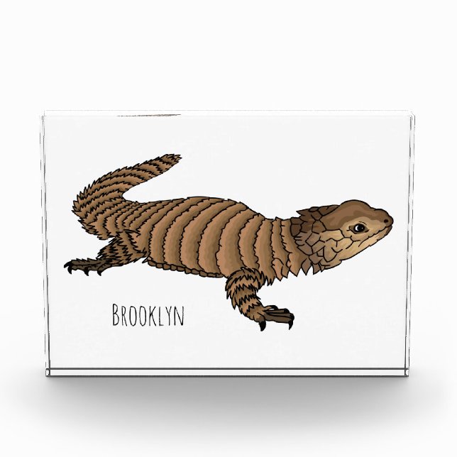 Armadillo girdled lizard cartoon illustration photo block (Front)
