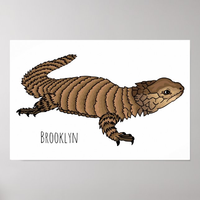 Armadillo girdled lizard cartoon illustration  poster (Front)