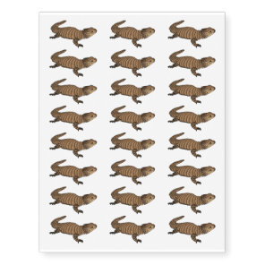 Armadillo girdled lizard cartoon illustration  temporary tattoos