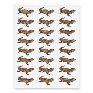 Armadillo girdled lizard cartoon illustration  temporary tattoos