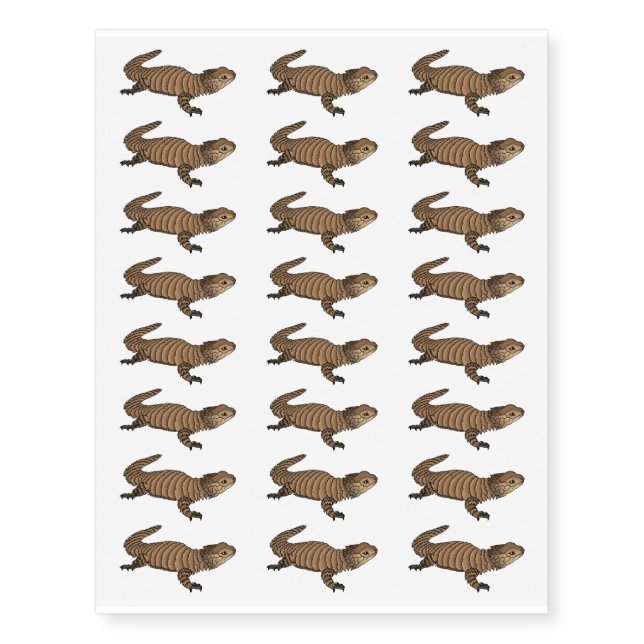 Armadillo girdled lizard cartoon illustration  temporary tattoos (Front)