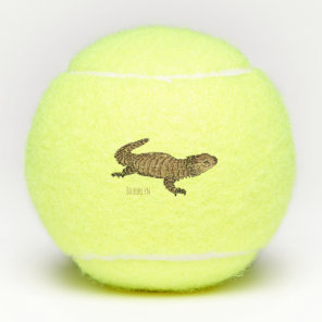 Armadillo girdled lizard cartoon illustration  tennis balls