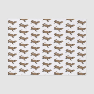 Armadillo girdled lizard cartoon illustration  tissue paper