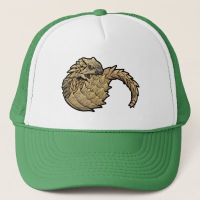 armadillo hat armadillo hat