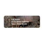 Armadillo Habitat  Mailing Labels