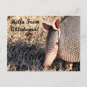 Armadillo Hello From Oklahoma Post Card