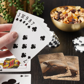 Armadillo In Hole Saying Hello Poker Cards