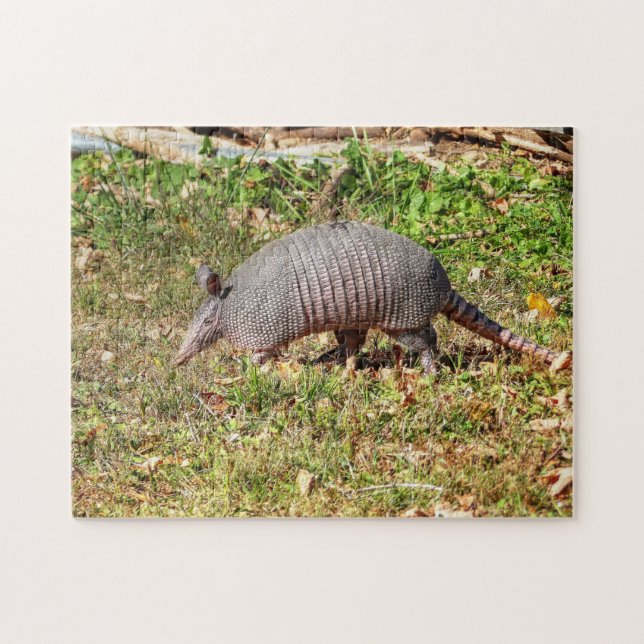 Armadillo  jigsaw puzzle (Horizontal)