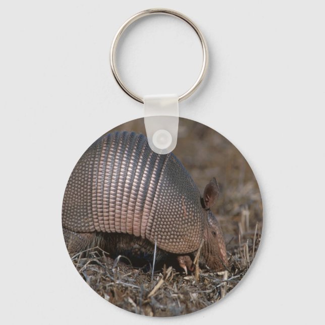 Armadillo Keychain (Front)