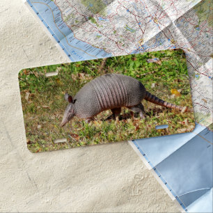 Armadillo license plate
