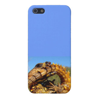Armadillo Lizard Iphone Case