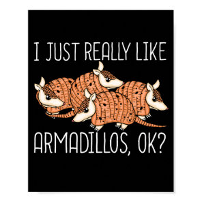 Armadillo Lover Wildlife Animal Gift Armadillo Poster