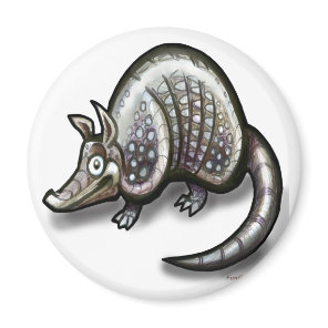 Armadillo Magnet