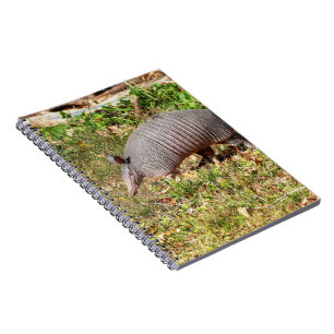 Armadillo Notebook