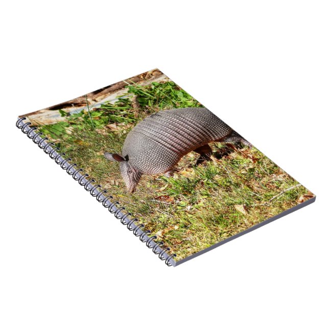Armadillo Notebook (Right Side)