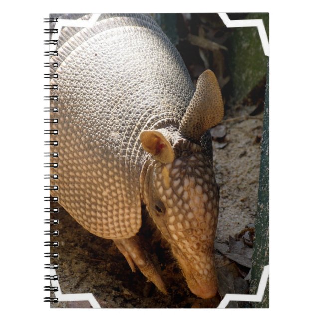 Armadillo Notebook (Front)