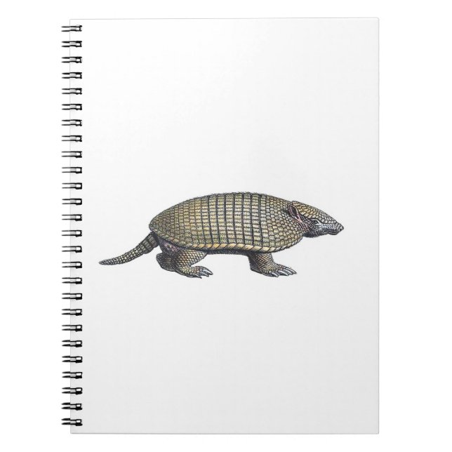 Armadillo Notebook (Front)