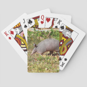 Armadillo Poker Cards