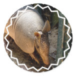 Armadillo Stickers