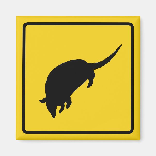 Armadillo Warning Magnet (Front)