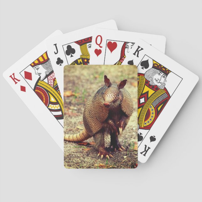 Armadillo wild animal poker cards (Back)