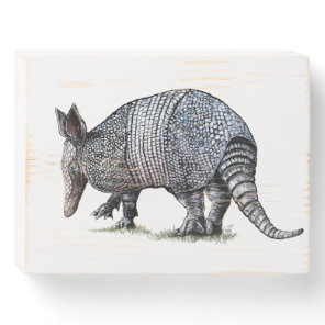 Armadillo Wooden Box Sign