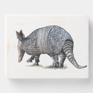 Armadillo Wooden Box Sign