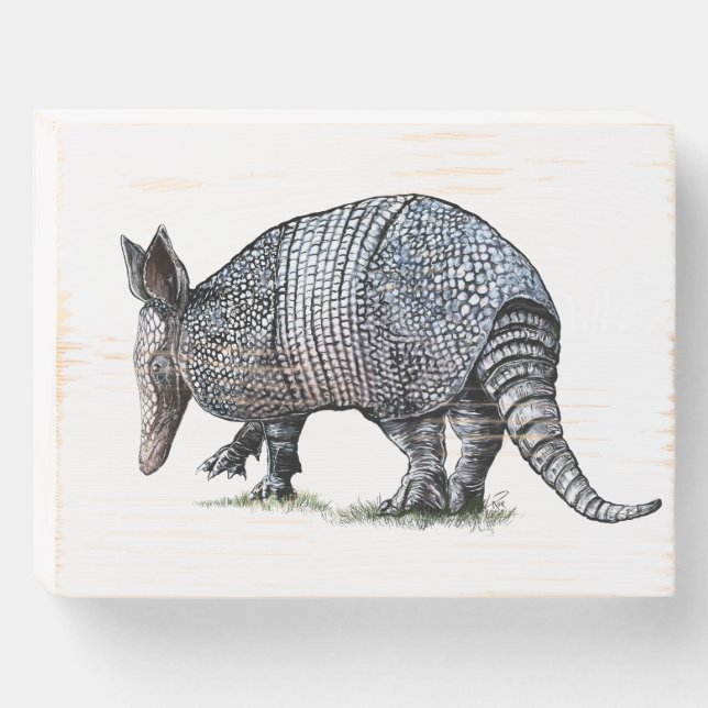 Armadillo Wooden Box Sign (Front Horizontal)