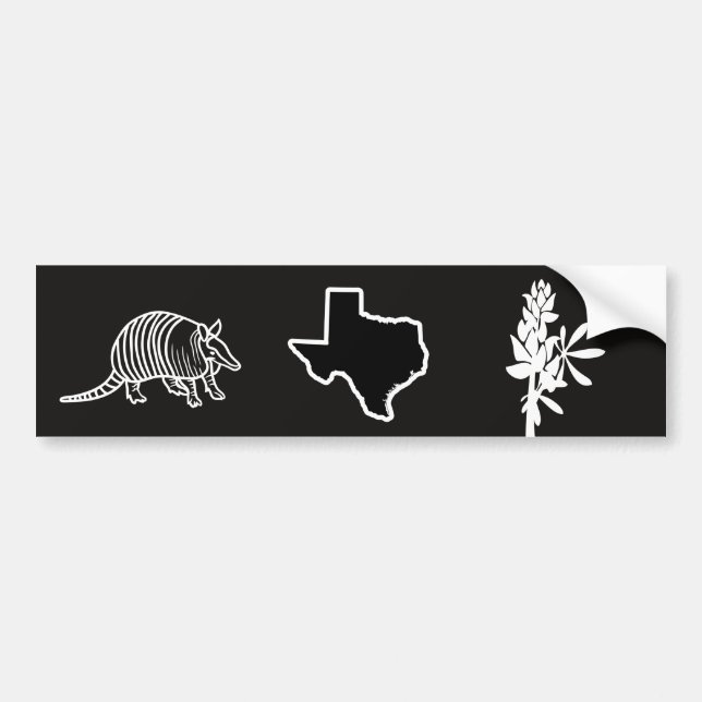 Armadillos and Bluebonnet Texas Bumper Sticker (Front)