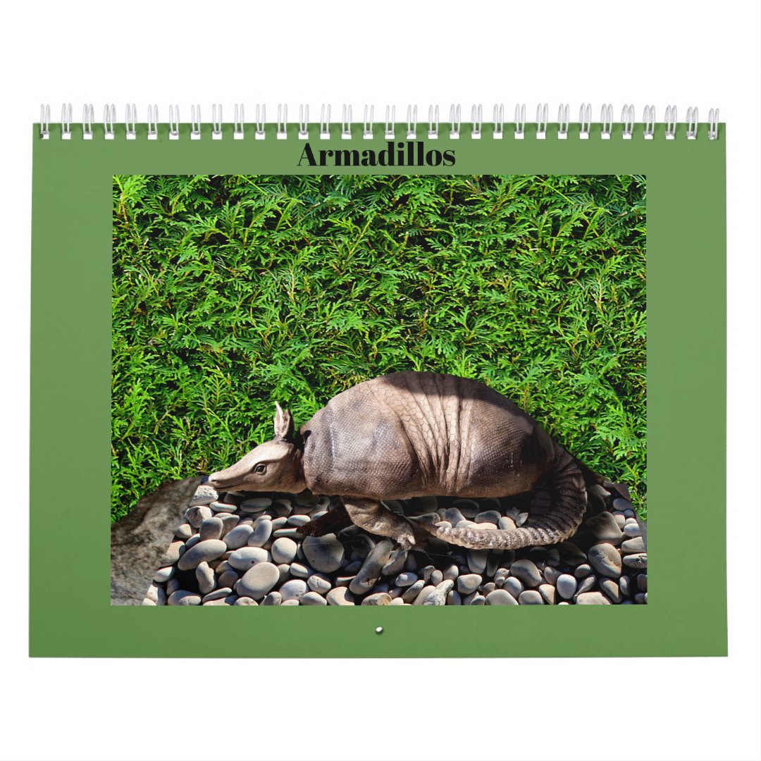 Armadillos Calendar Zazzle