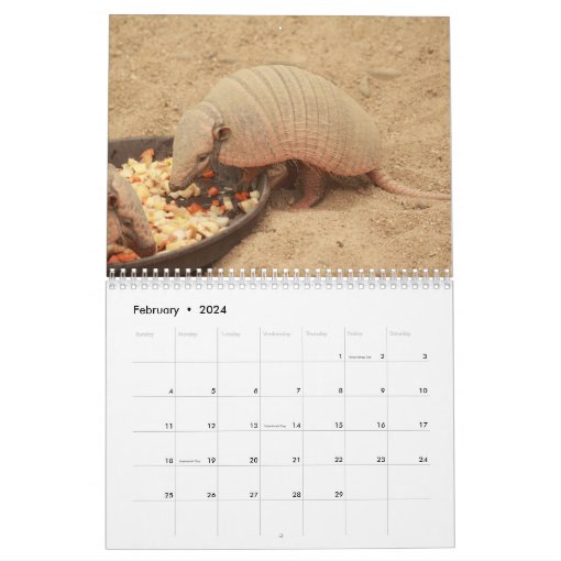 Armadillos Calendar Zazzle