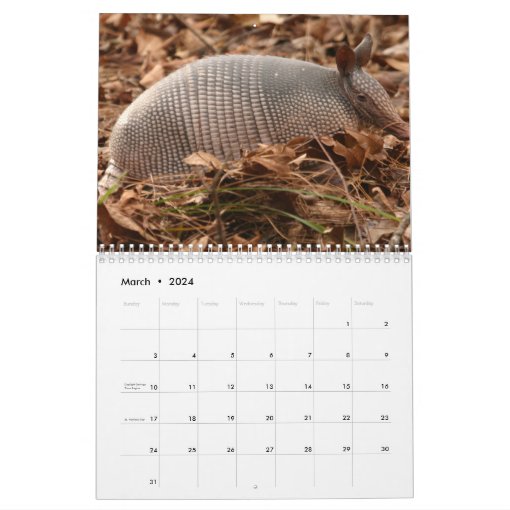 Armadillos Calendar Zazzle