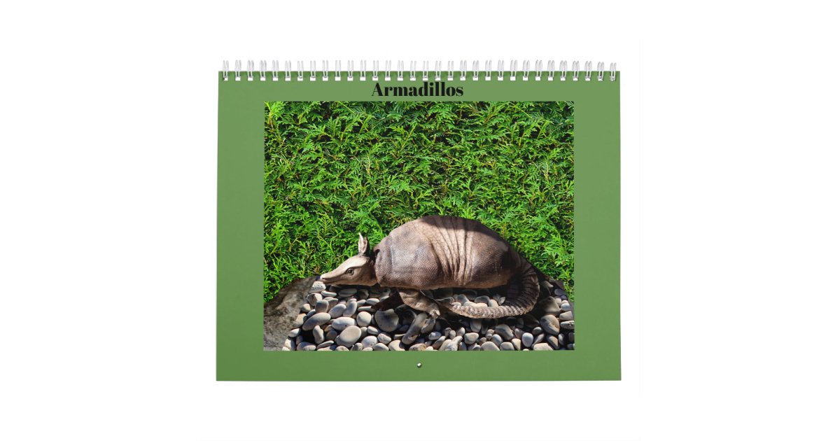 Armadillos Calendar Zazzle
