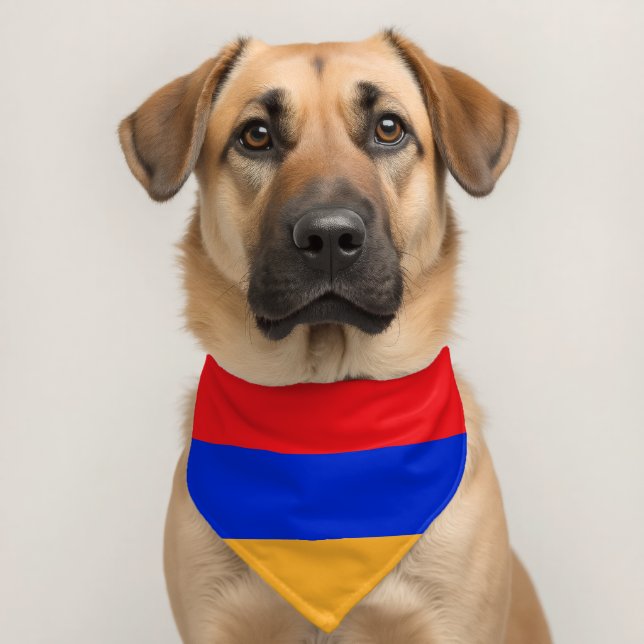 Armenia flag pet bandana collar (Dog 2)