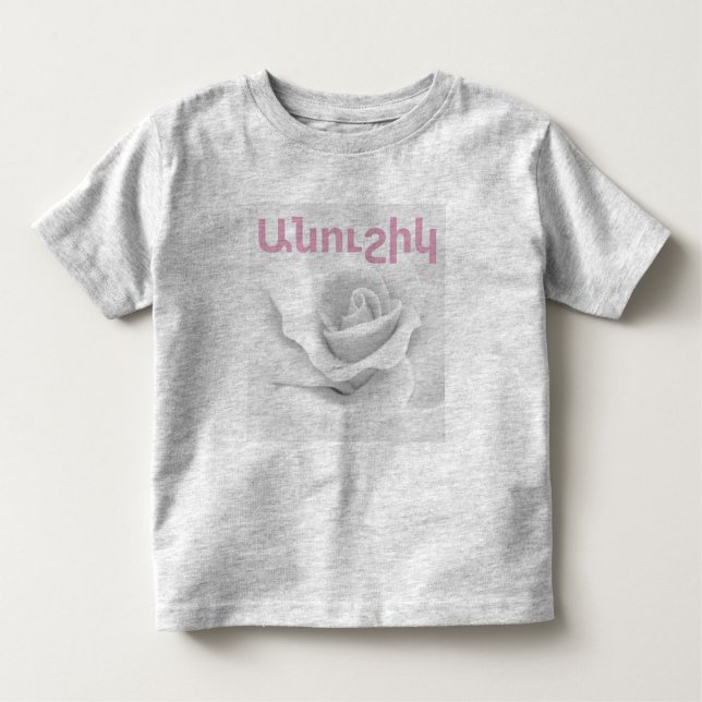 Armenian Saying T-Shirt (Front)