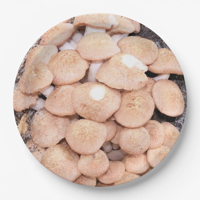 Armillaria tabescens or ringless honey mushrooms paper plates (Front)