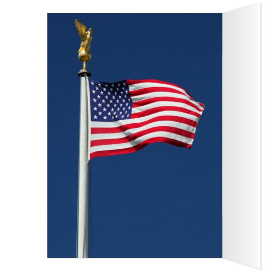 Army Acu Camouflage Pattern (Inside (Left))