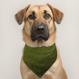 Army green gradient geometric mesh modern pet bandana collar